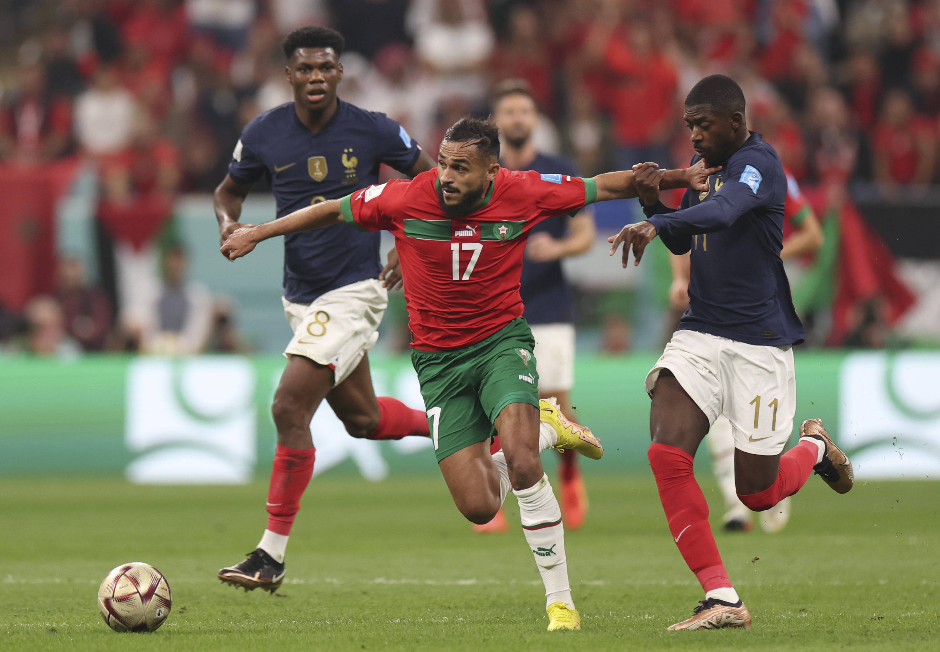 重视赛季初 重视赛季初